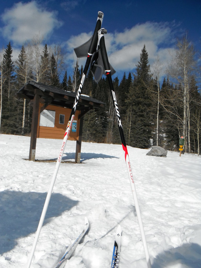 Blue Skies Cross Country Skiing Bragg Creek Mr. Happy Face