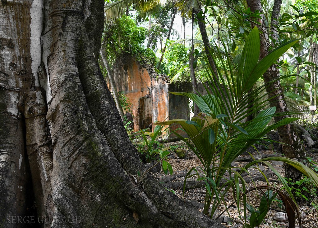 Bagne de St Joseph Îles du Salut Bagne de Guyane 1854 19… Flickr