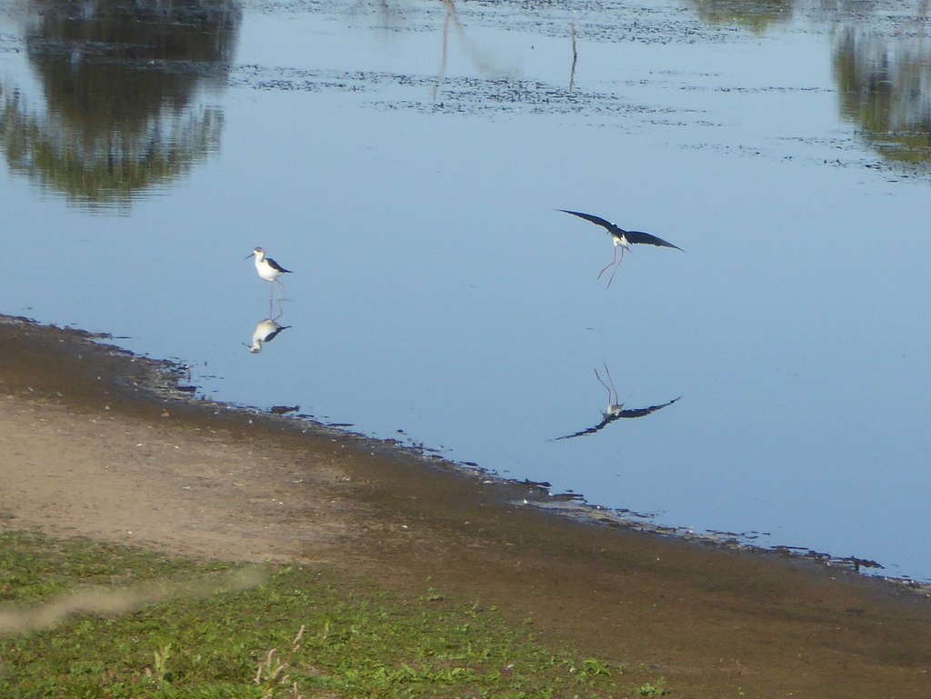 Elevation of Uralla NSW, Australia Topographic Map Altitude Map