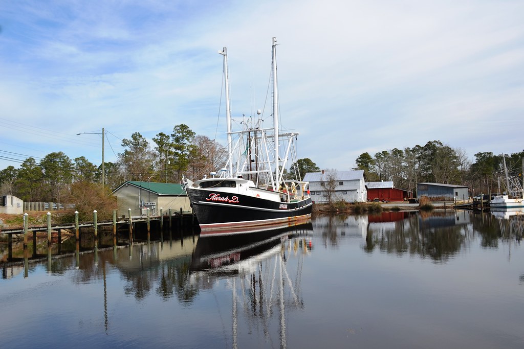 Elevation of Upper Neck Rd, Bayboro, NC, USA Topographic Map Altitude Map