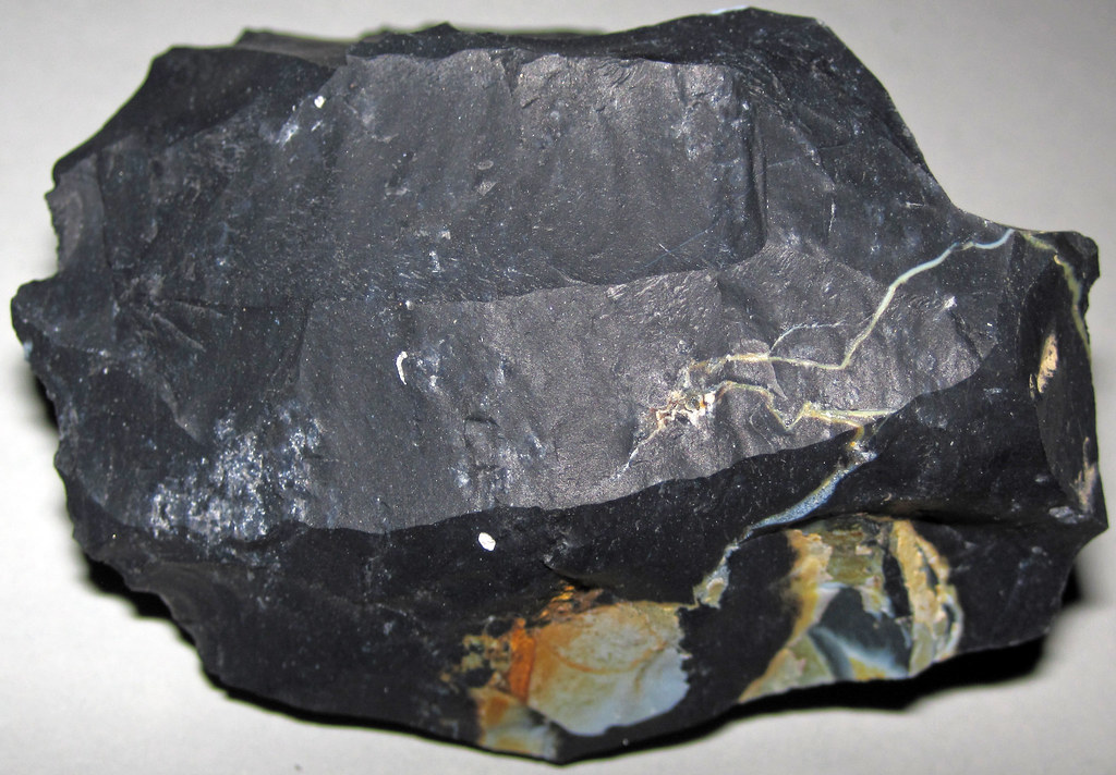 Zaleski Flint (Middle Pennsylvanian; west of Creola, north… Flickr