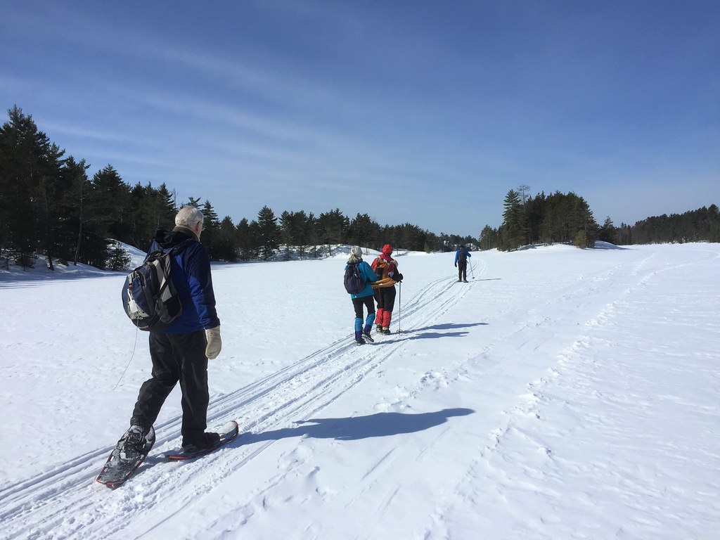 Byrnes Lake White Birch Conservation Reserve Mar 09, 2019 Flickr