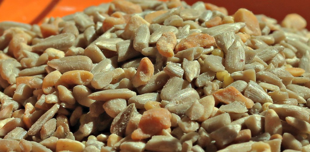 For the birds Patio mix bird seed CC March Most Versatile … Flickr