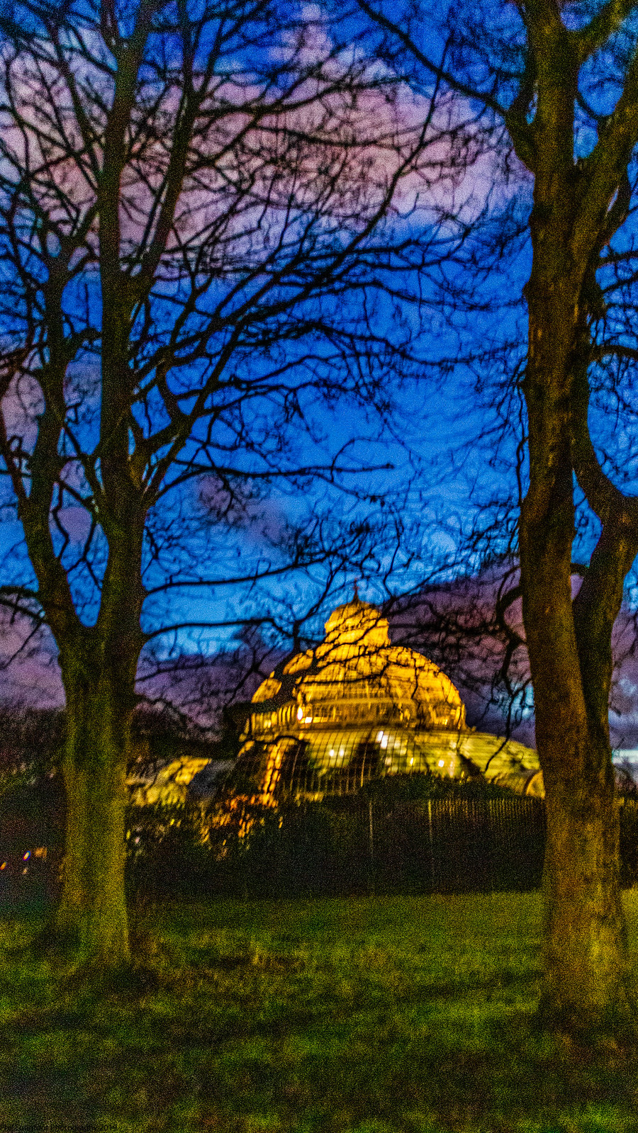 Sefton Park Palmhouse at night Flickr