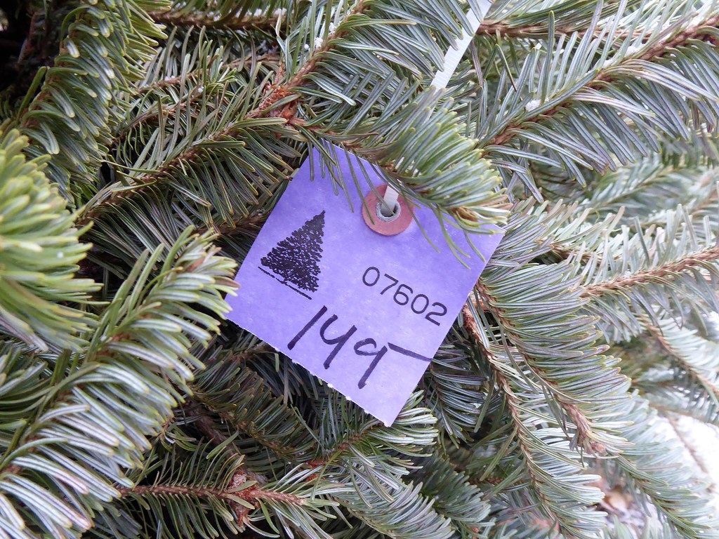 Christmas trees are expensive Newton, MA Lorianne DiSabato Flickr