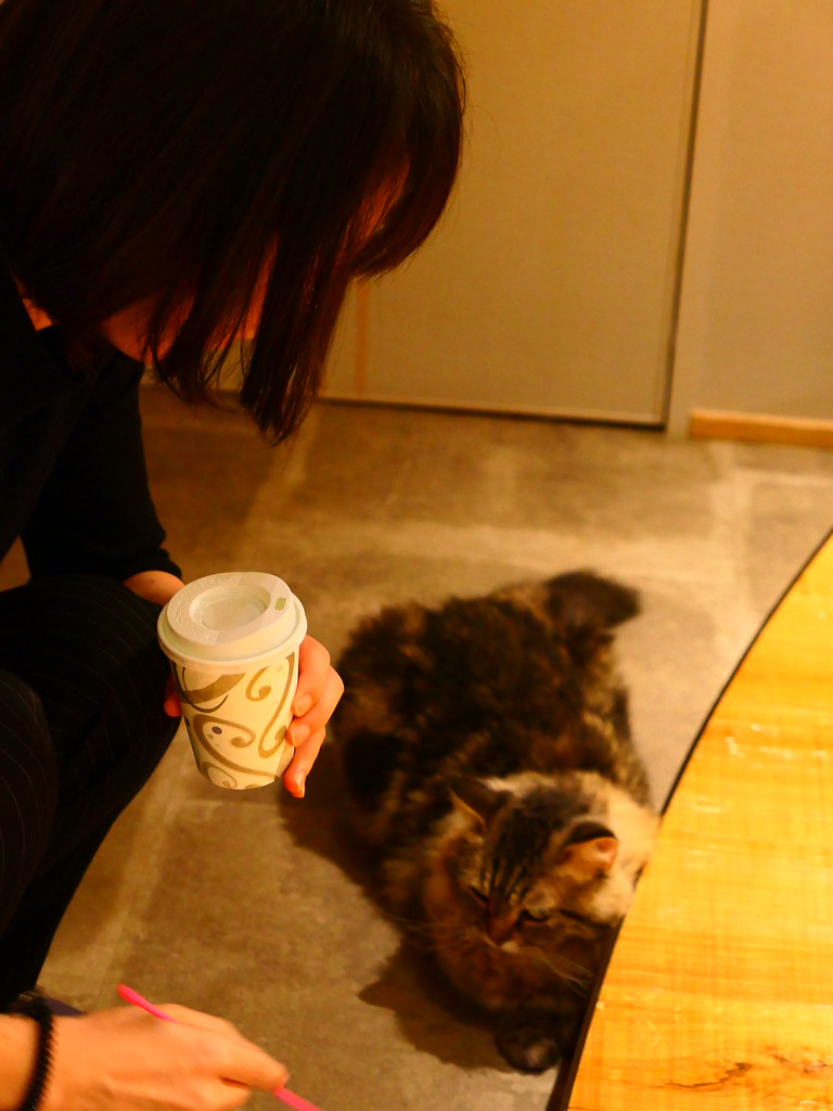 Visiting the Cat Cafe Mocha Lounge in Shinjuku NeoTokyo 2099