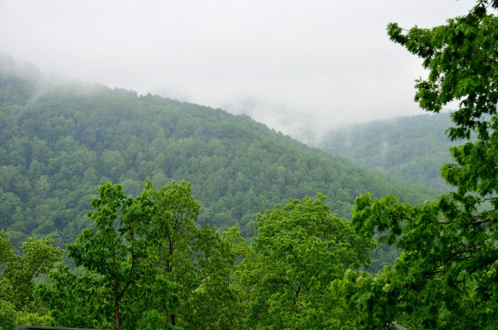 2018 05 16 001 At home, Gassaway, WV Gassaway, Braxton Cou… Flickr