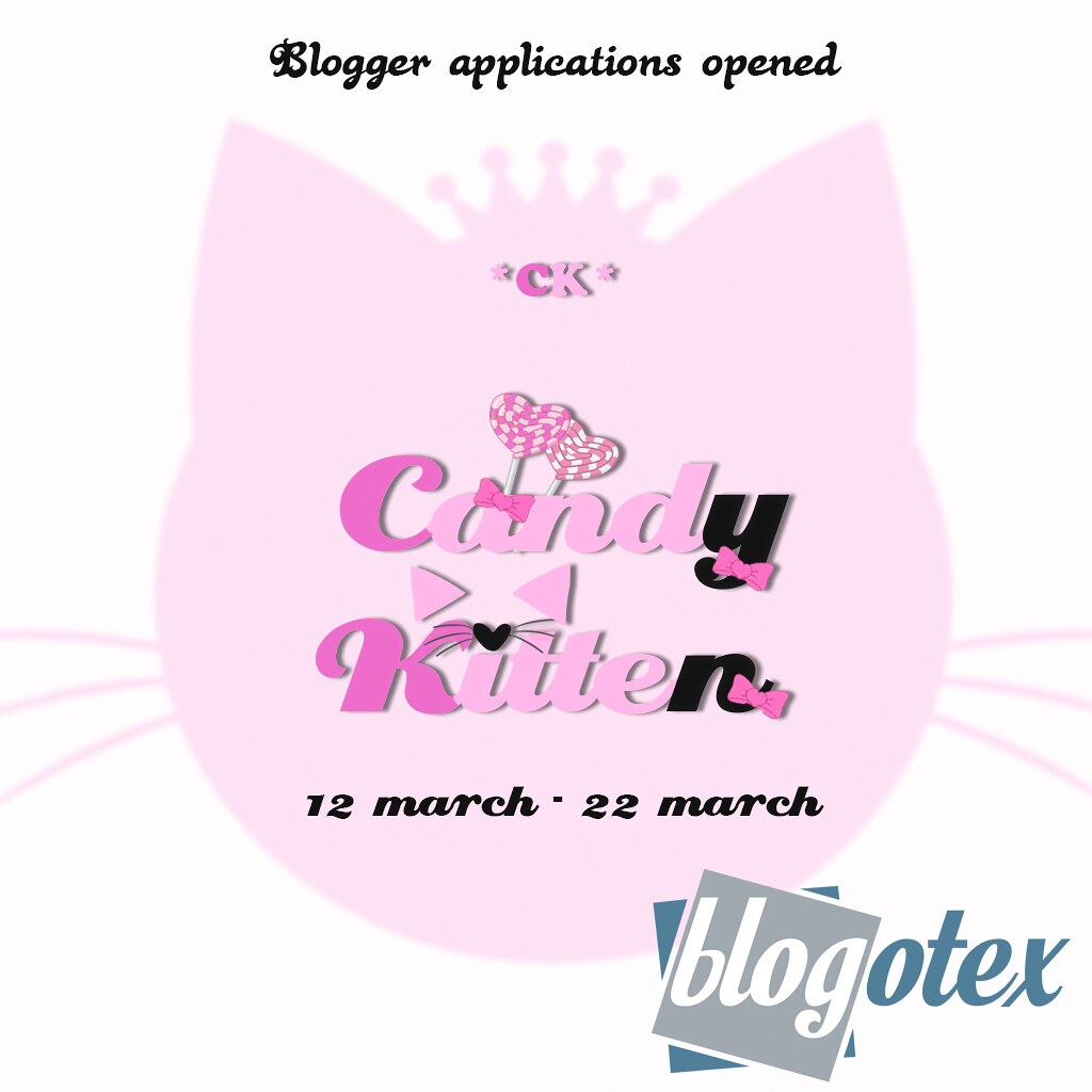 Blogger applications are opened! ) Candy Kitten is lookin… Flickr