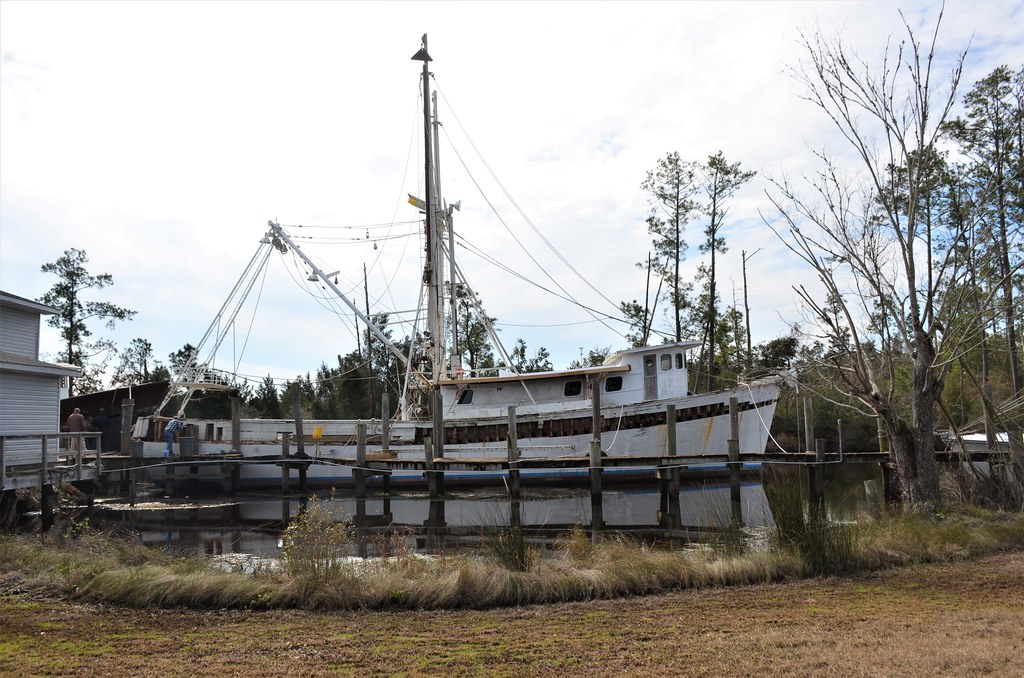 Elevation of Mill Pond Rd, Bayboro, NC, USA Topographic Map