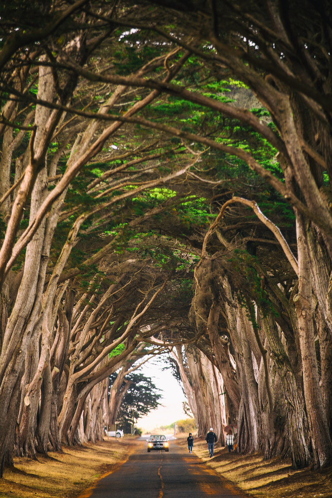 Point Reyes Station Thomas Hawk Flickr