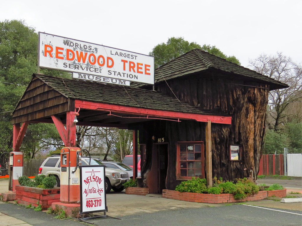 Redwood Tree Service Station Ukiah, California; opened in … Flickr