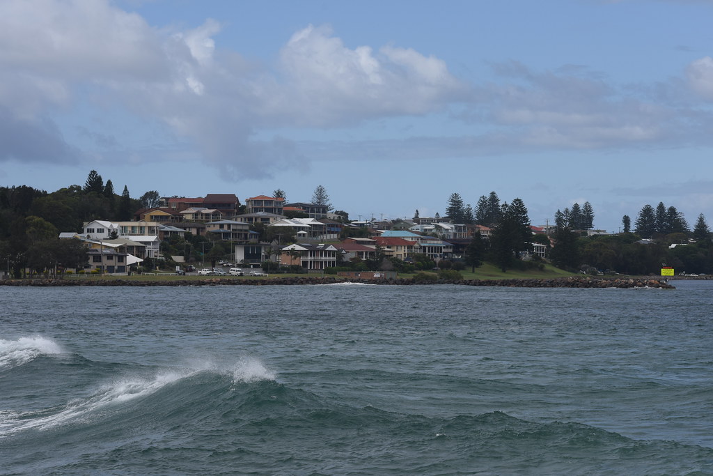 Homes on Lambton Parade Waterfront homes as seen from Blac… Flickr