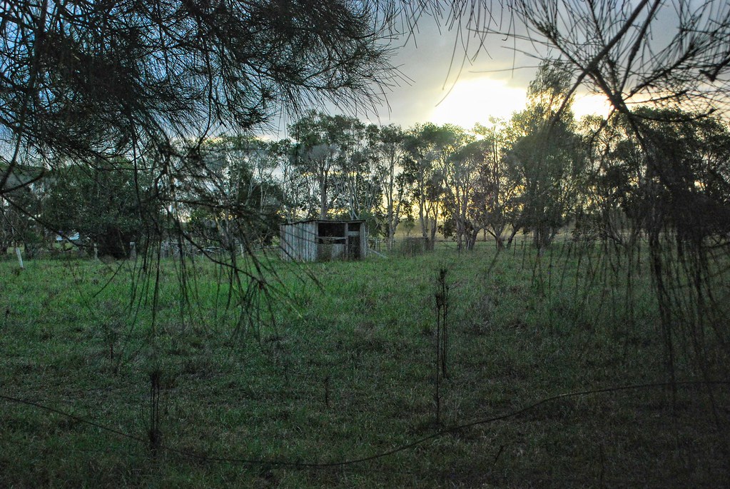 Farm, oxley island 2019, variously enhanced with snapseed Flickr