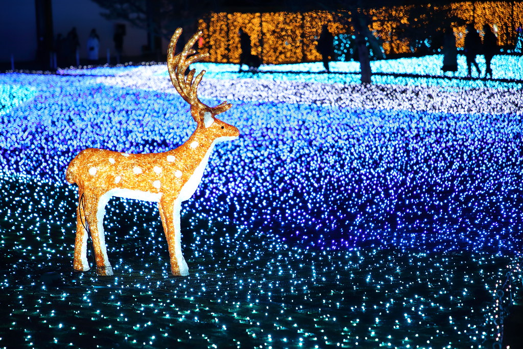 Bright deer setting on the light field Winter event 2019 i… Flickr