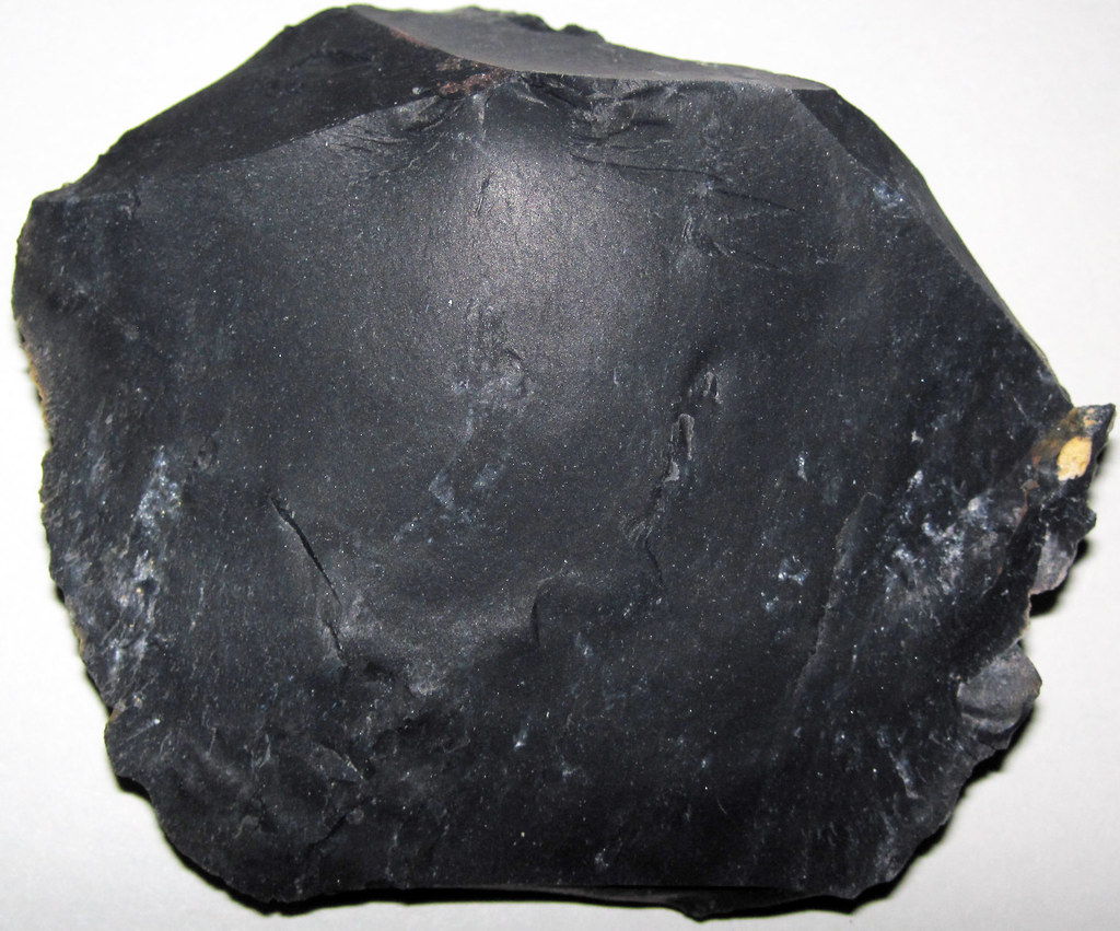 Zaleski Flint (Middle Pennsylvanian; west of Creola, northern Vinton County, Ohio, USA) 3 a