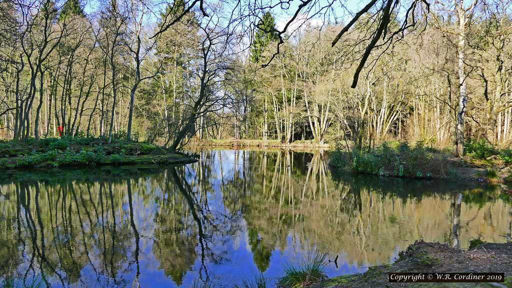 Aden Park loch reflections 4 bluetoonloon Flickr