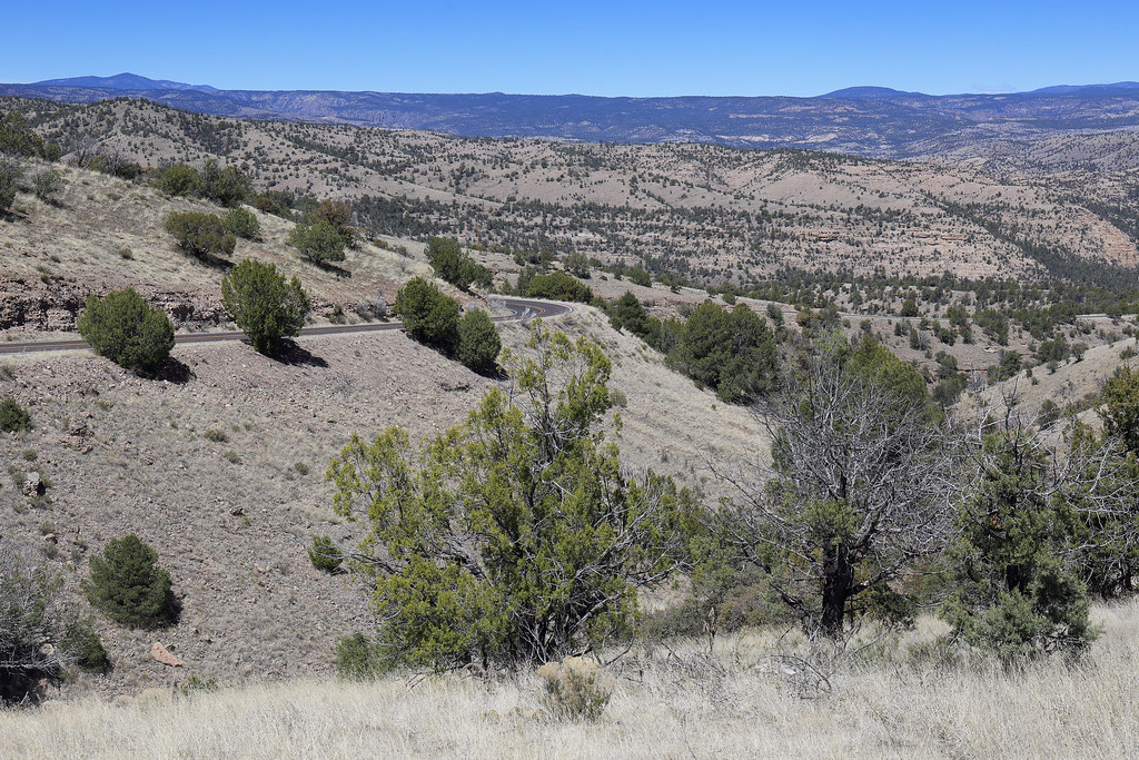 New Mexico Gila National Forest The Gila National Forest… Flickr