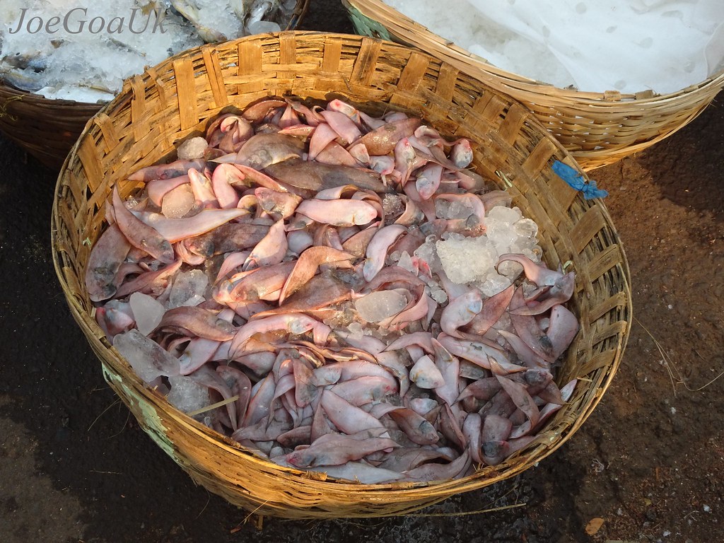 Lepo sole fish Tongue fish basket Joegoauk Goa Flickr