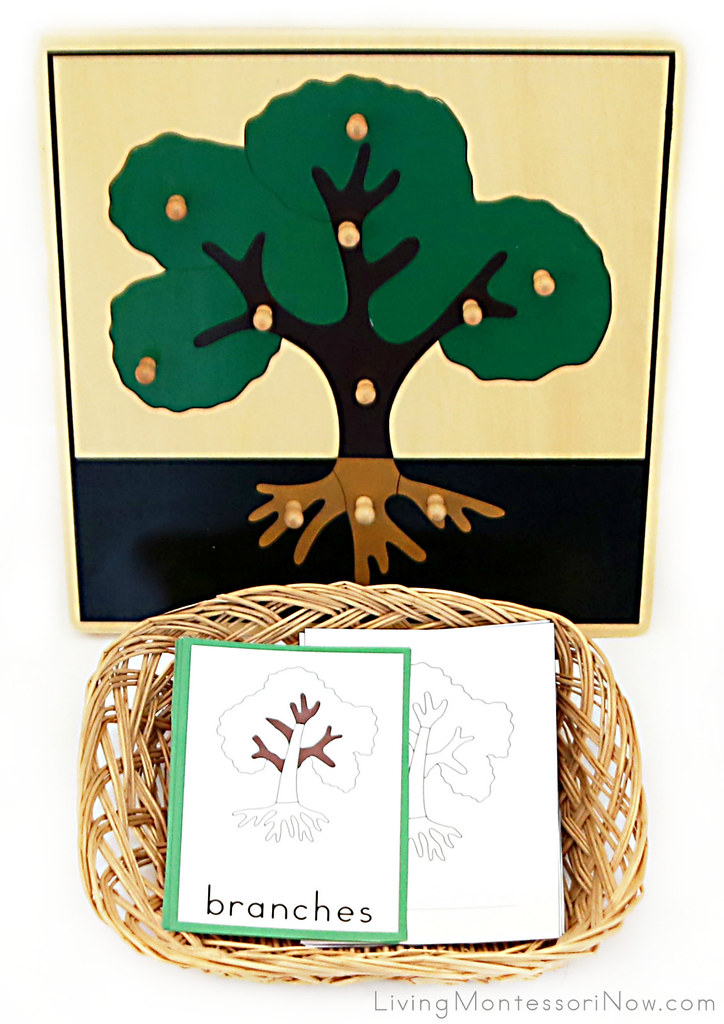 Parts of a Tree Puzzle, Cards, and Bookletmaking Material… Flickr