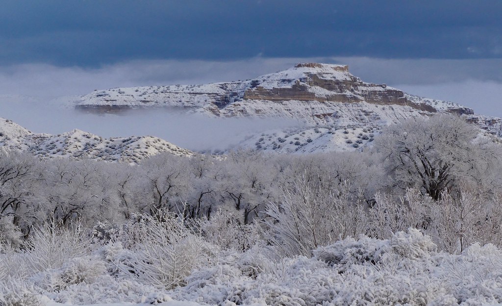 P1390082 Late winter snowfall near Los Alamos, New Mexico Scott