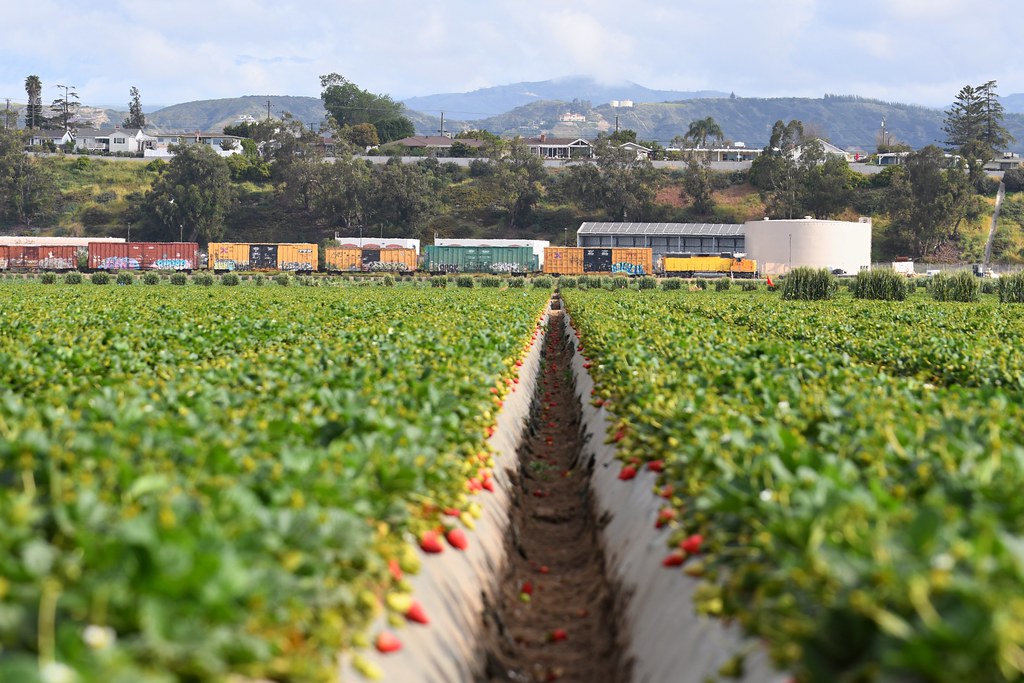 Camarillo, California UP’s Oxnard local shoves its way thr… Flickr