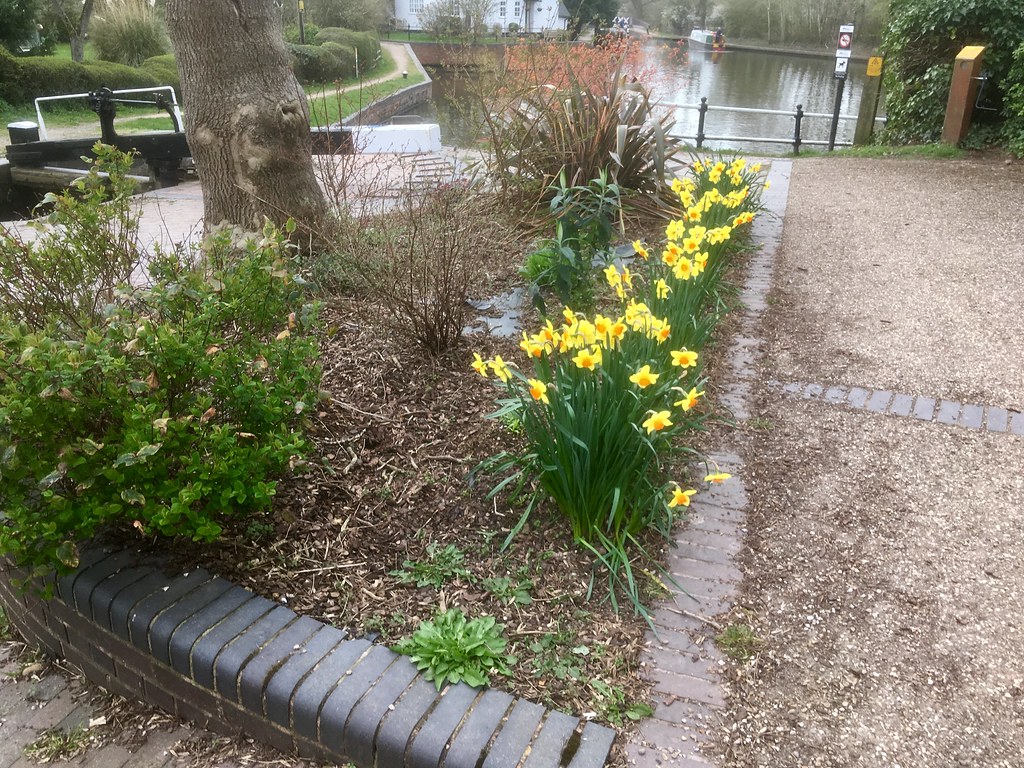 5 Kingswood Junction Lapworth is another place we voluntee… Flickr