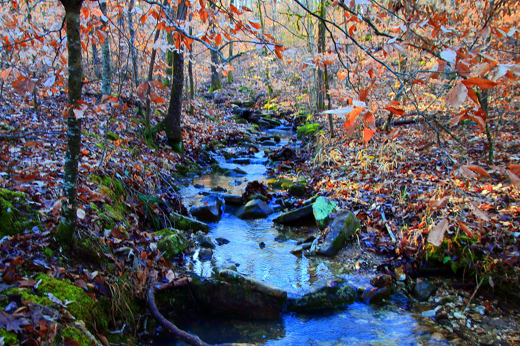 WetWeather Stream on Buffalo River Trail Near Ponca, Ar… Flickr