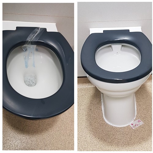 Broken toilet seat now fixed Carol Bassi (Nee McLaughlin) Flickr