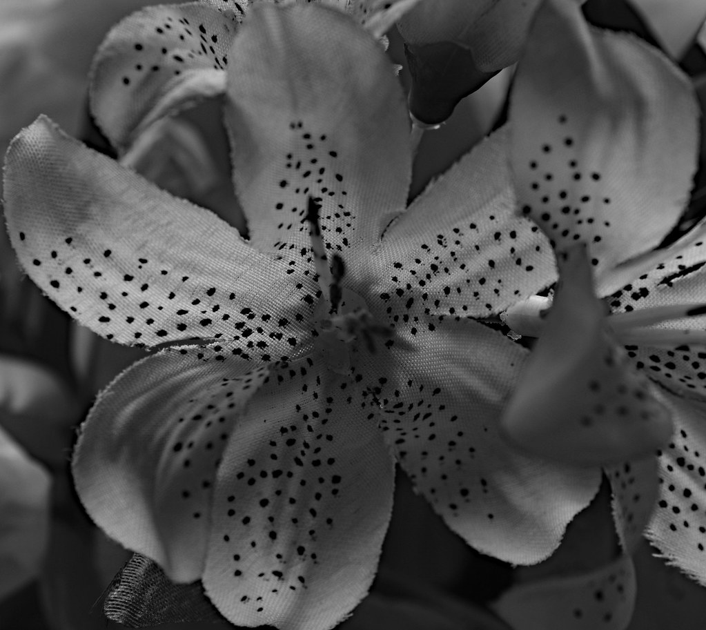 BlackWhite flowers These are all artificial flowers... sdamore1 Flickr
