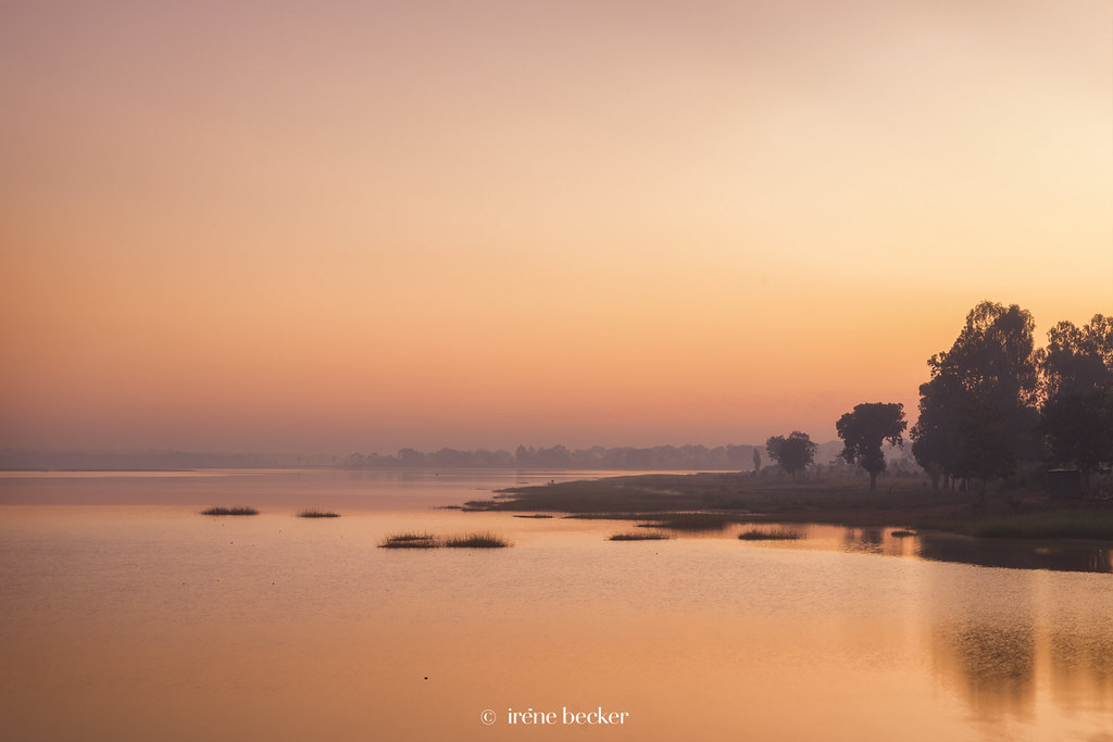 First Morning Light First Morning Light by Irene Becker © … Flickr