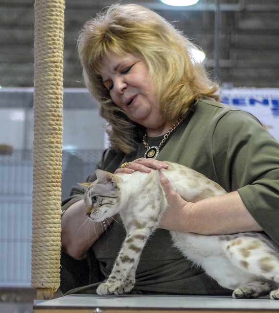 Flickriver Most interesting photos tagged with timoniumfairgrounds