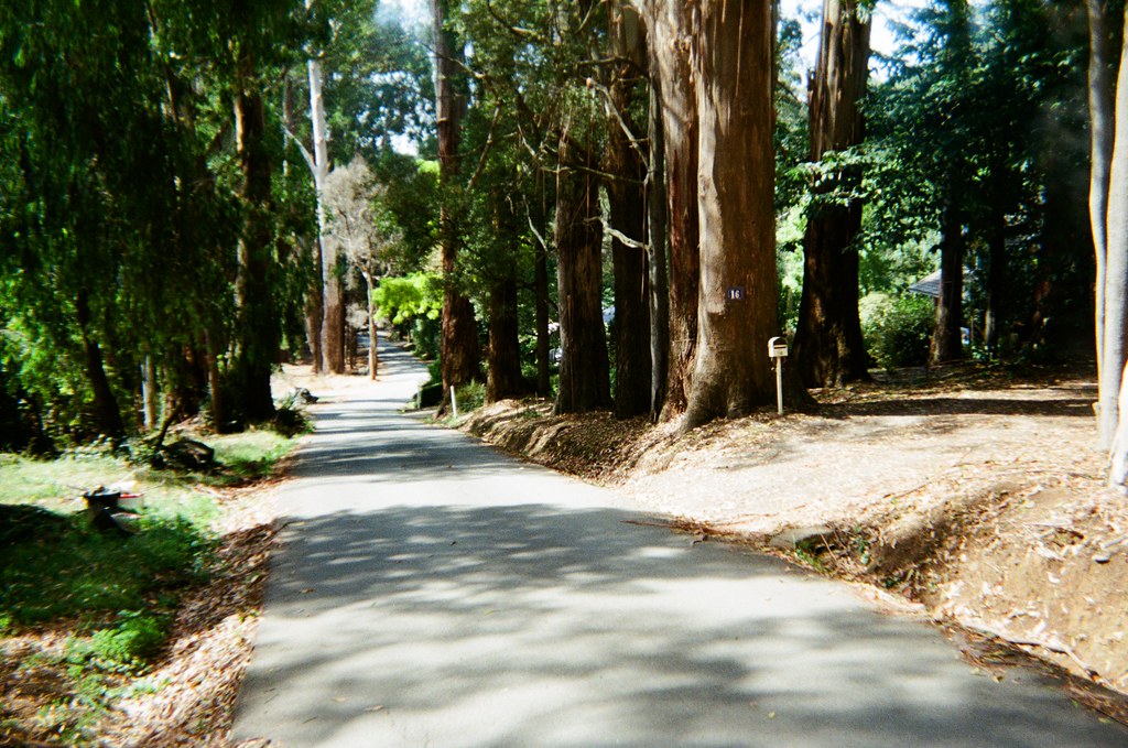 Dickens Road (photo 6) Camera used DSMax HC 2000 Film us… Flickr