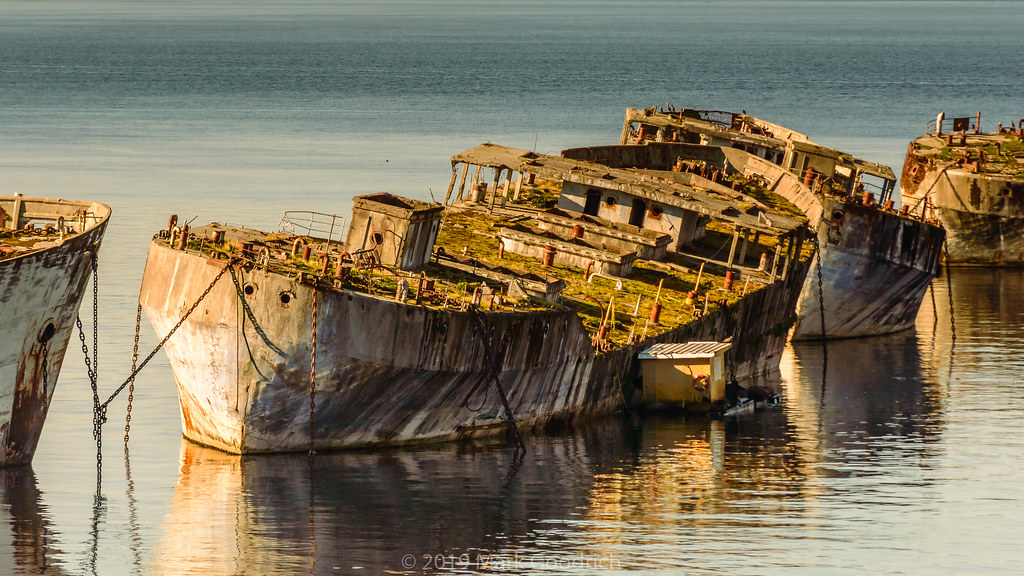 The 'Hulks' make up a breakwater near Powell River, B.C. Canada. These