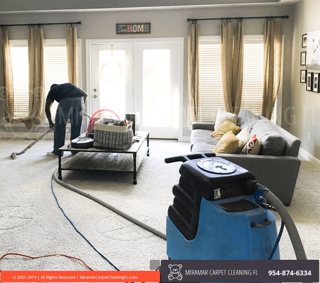 Carpet Cleaning Services, FL Professional carpet, upholste… Flickr