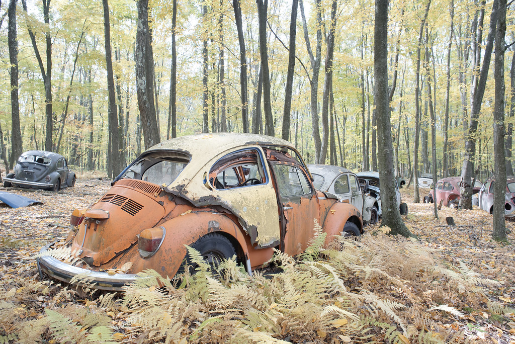 VW Graveyard Abandoned VW Graveyard, USA Jonnie Lace Flickr