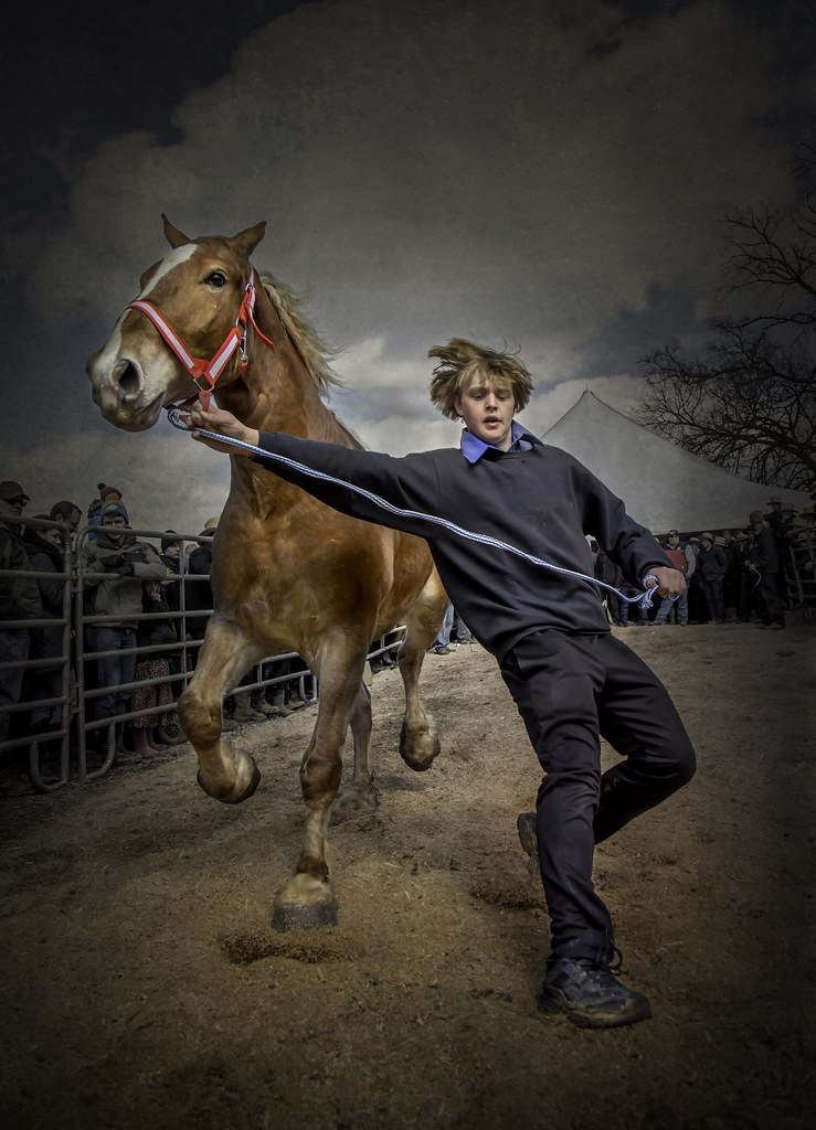 Amish Horse Auction Gordonville, Pennsylvania Kevin B. Moore Flickr