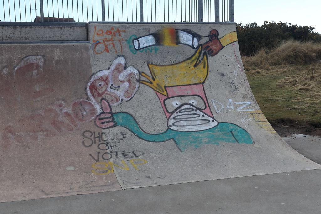 Montrose Skateboard Park_apr 18_39 Alan Longmuir. Flickr
