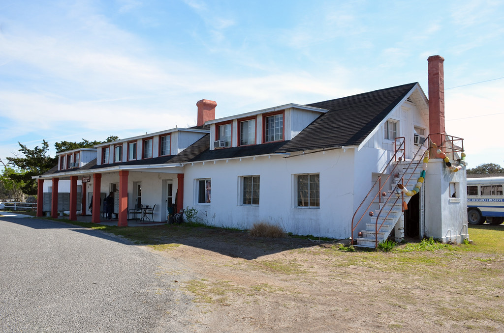McIntosh County, Sapelo Island, Long Tabby Flickr