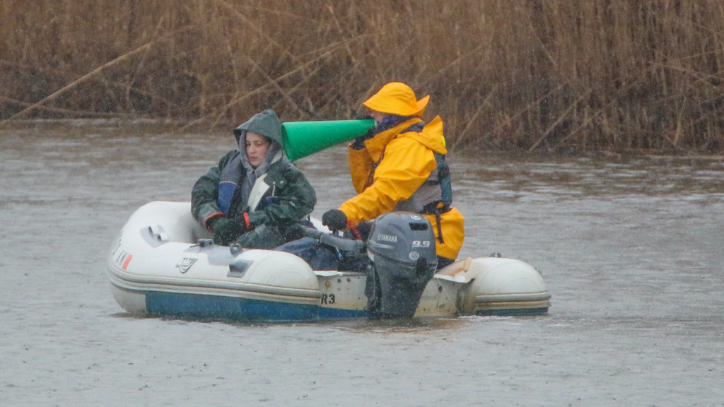 DuxburyHSGirlsRowingGreenHarborRiver431858 Flickr