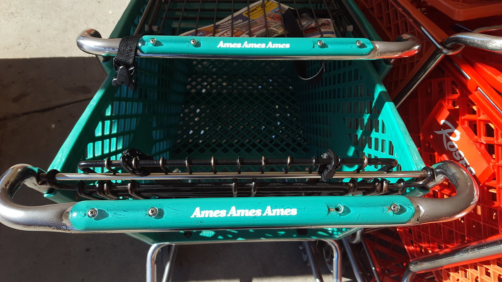 Ames Shopping Carts Roses Kalmia Plaza Aiken SC 1 Mike Kalasnik Flickr
