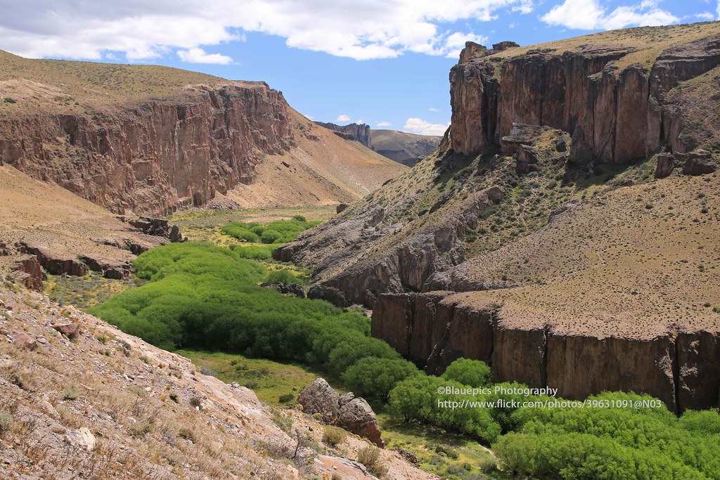 near Estancia La Criolla, Río Pinturas Here is the Cueva d… Flickr