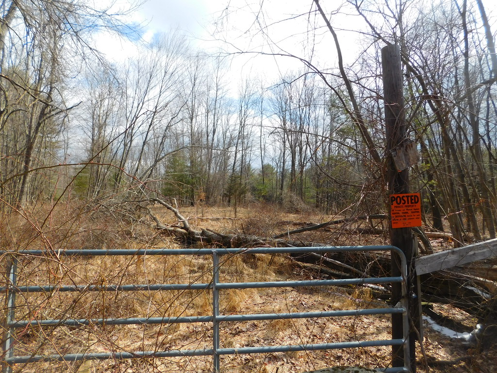 Onteora Speedway Olivebridge, New York Adam Moss Flickr