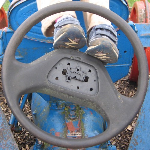 Not Going Anywhere Adrian Cox Flickr