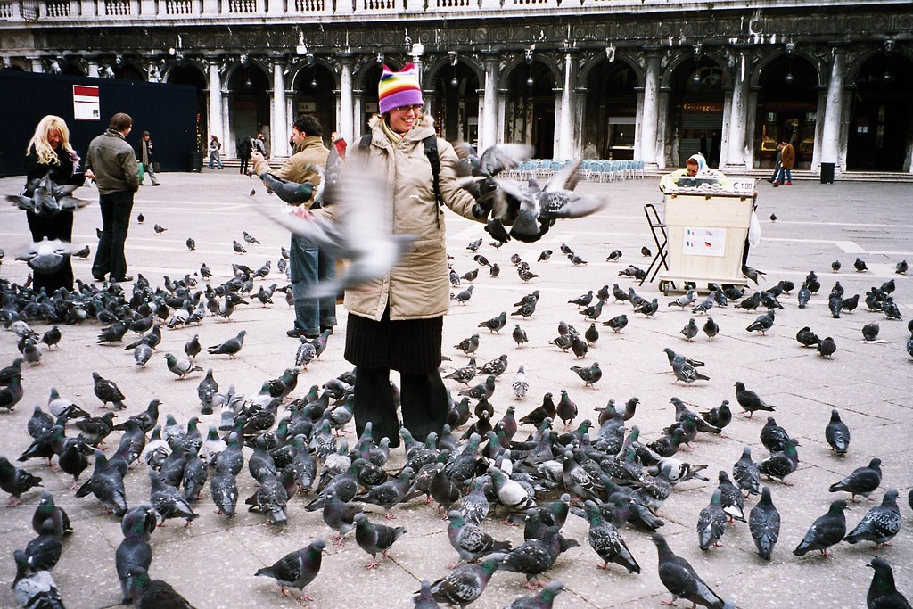 Feeding pigeons, Piazza San Marco, Venice Pigeontopia! Ar… Flickr