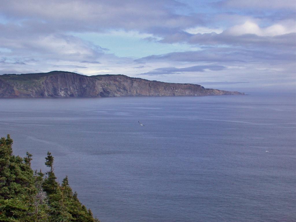 Middle Cove1 Rexton Flickr