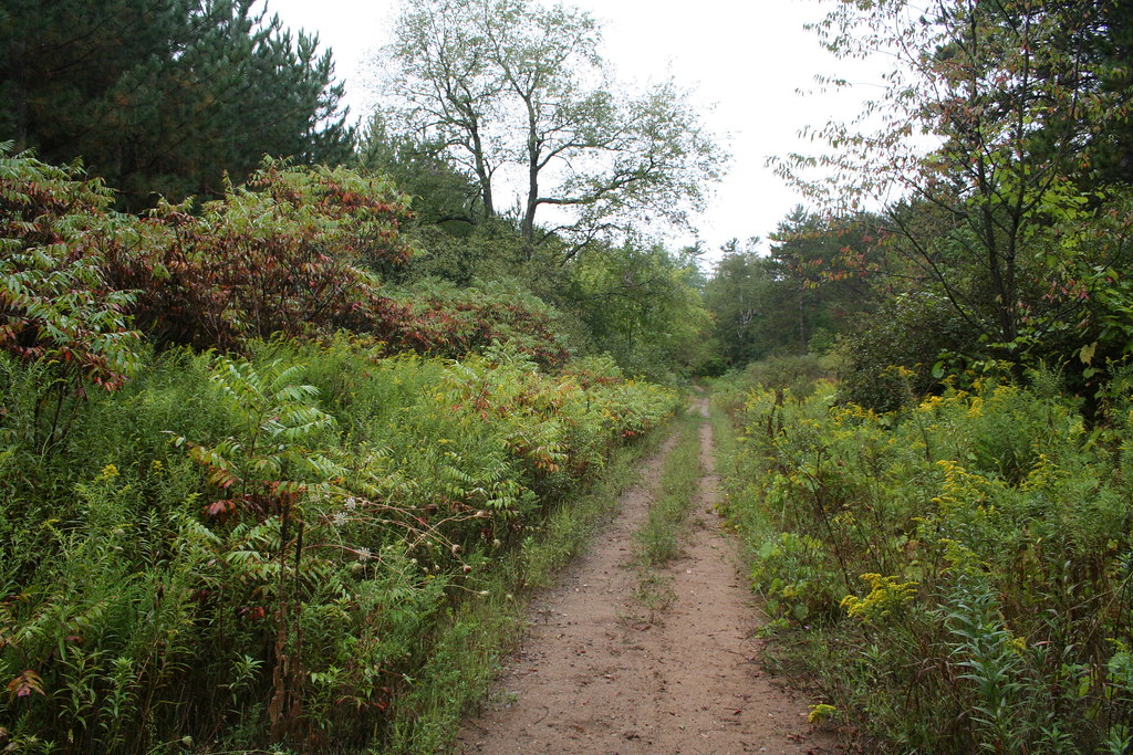 The track of Kirby Road I suspect this was paved once, and… Flickr