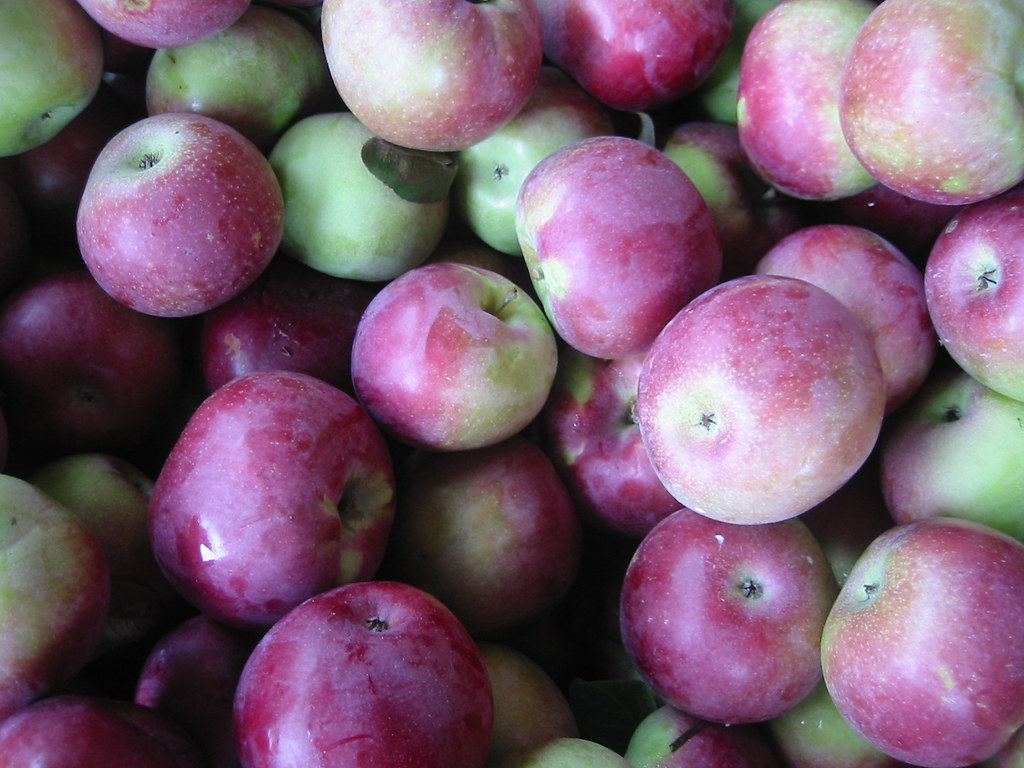 Texture Apples Rochester, NY Tobin Flickr