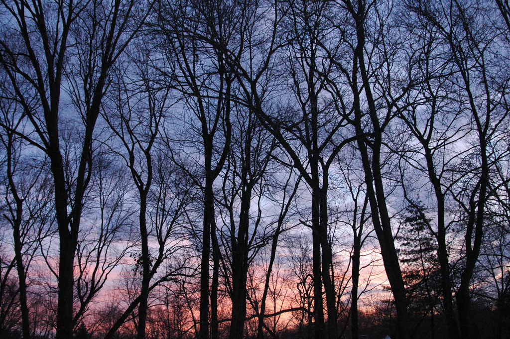 Sunset Winter West Hartford CT Sunset Winter West Hartford… Flickr