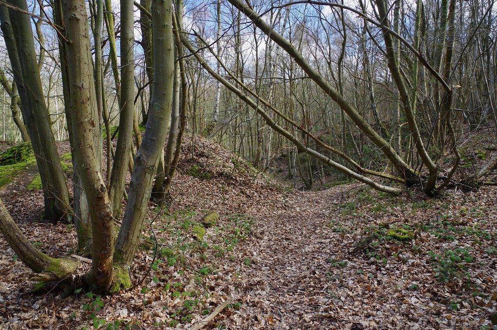 The Canterbury Circle....Section one Faversham to Canterbu… Flickr