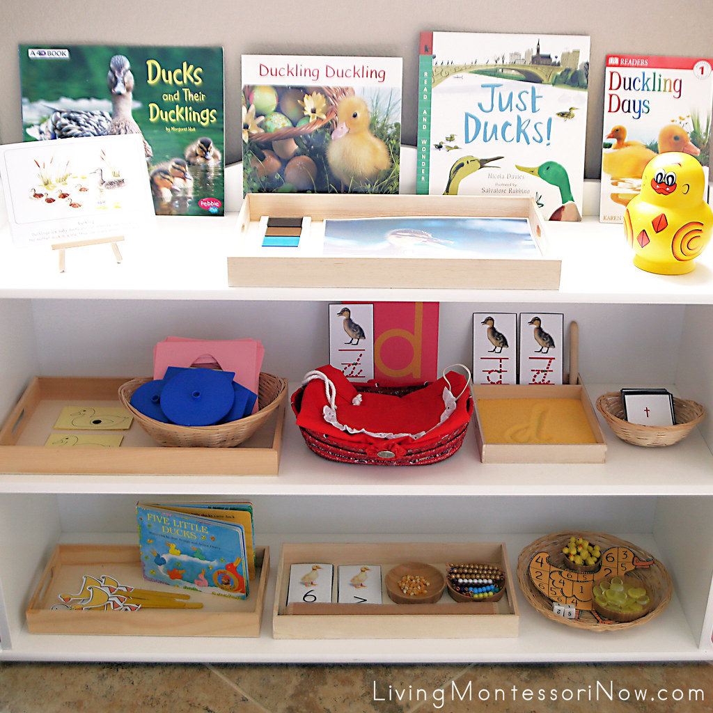 Montessori Shelves with DucklingThemed Activities Flickr